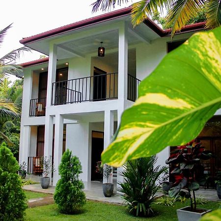 Manike Lodge Хабарана Екстер'єр фото