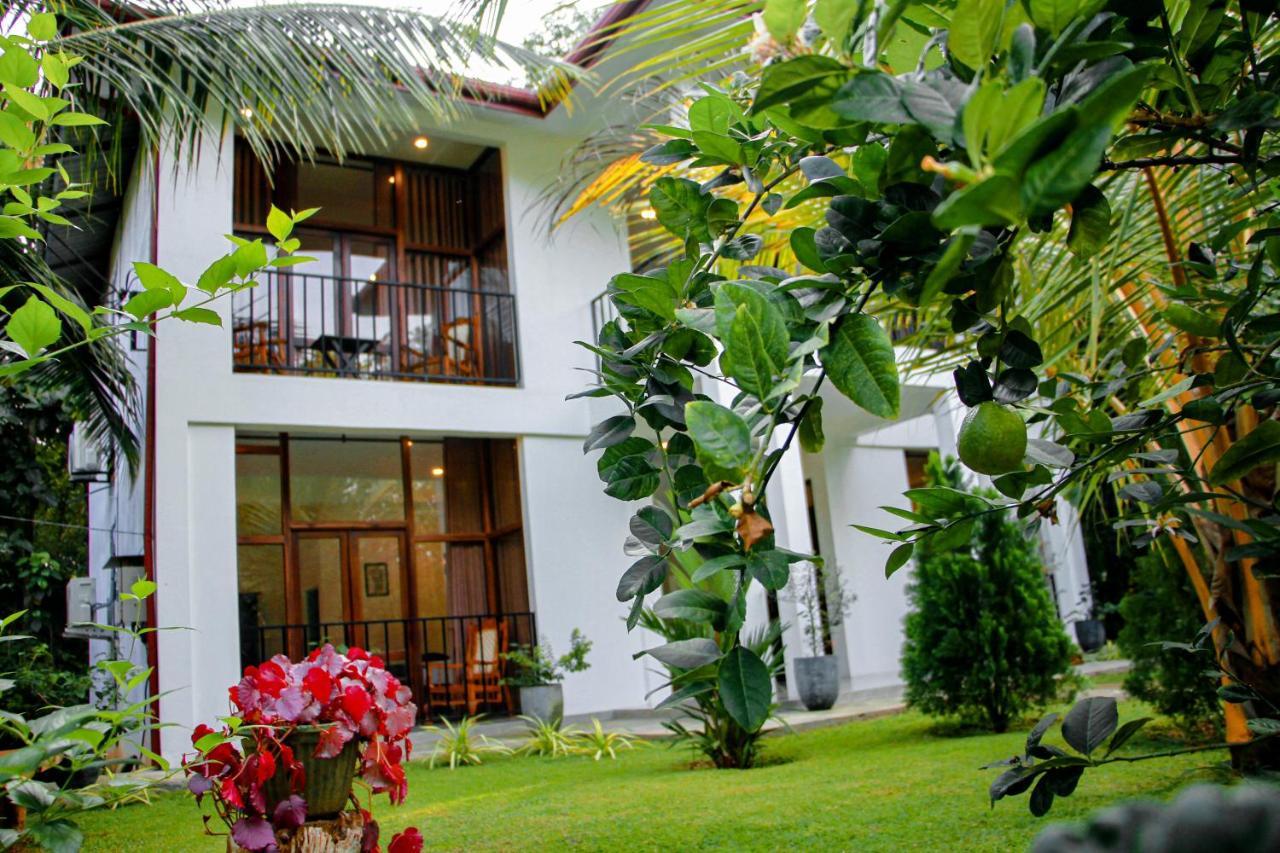 Manike Lodge Хабарана Екстер'єр фото