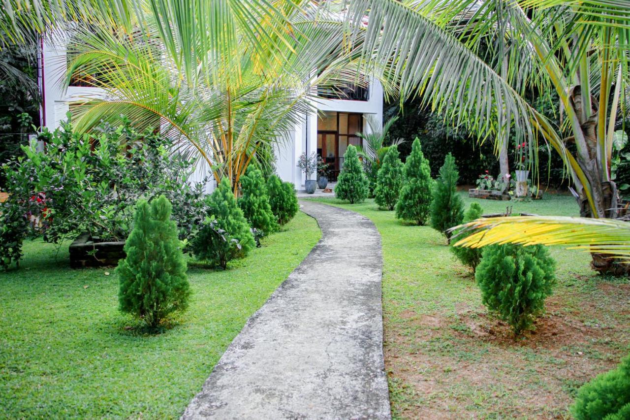 Manike Lodge Хабарана Екстер'єр фото